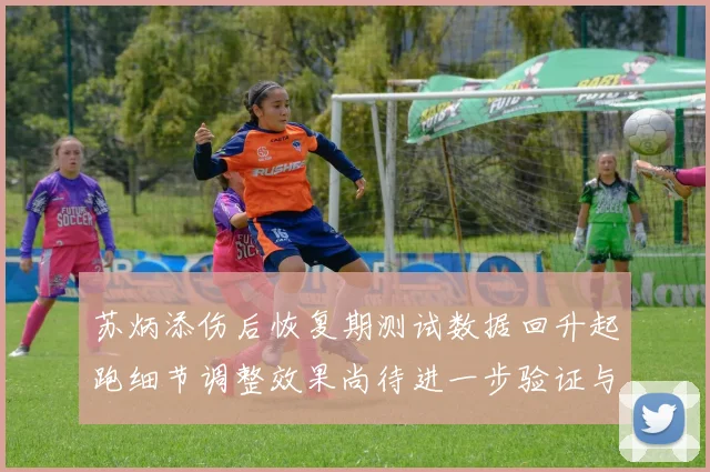 苏炳添伤后恢复期测试数据回升起跑细节调整效果尚待进一步验证与观察